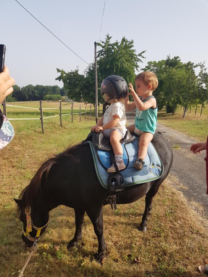 Gite Equestre Domaine Des Crins - Biron Capdrot Bagian luar foto