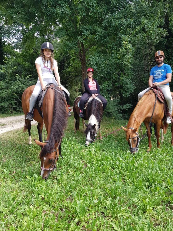 Gite Equestre Domaine Des Crins - Biron Capdrot Bagian luar foto