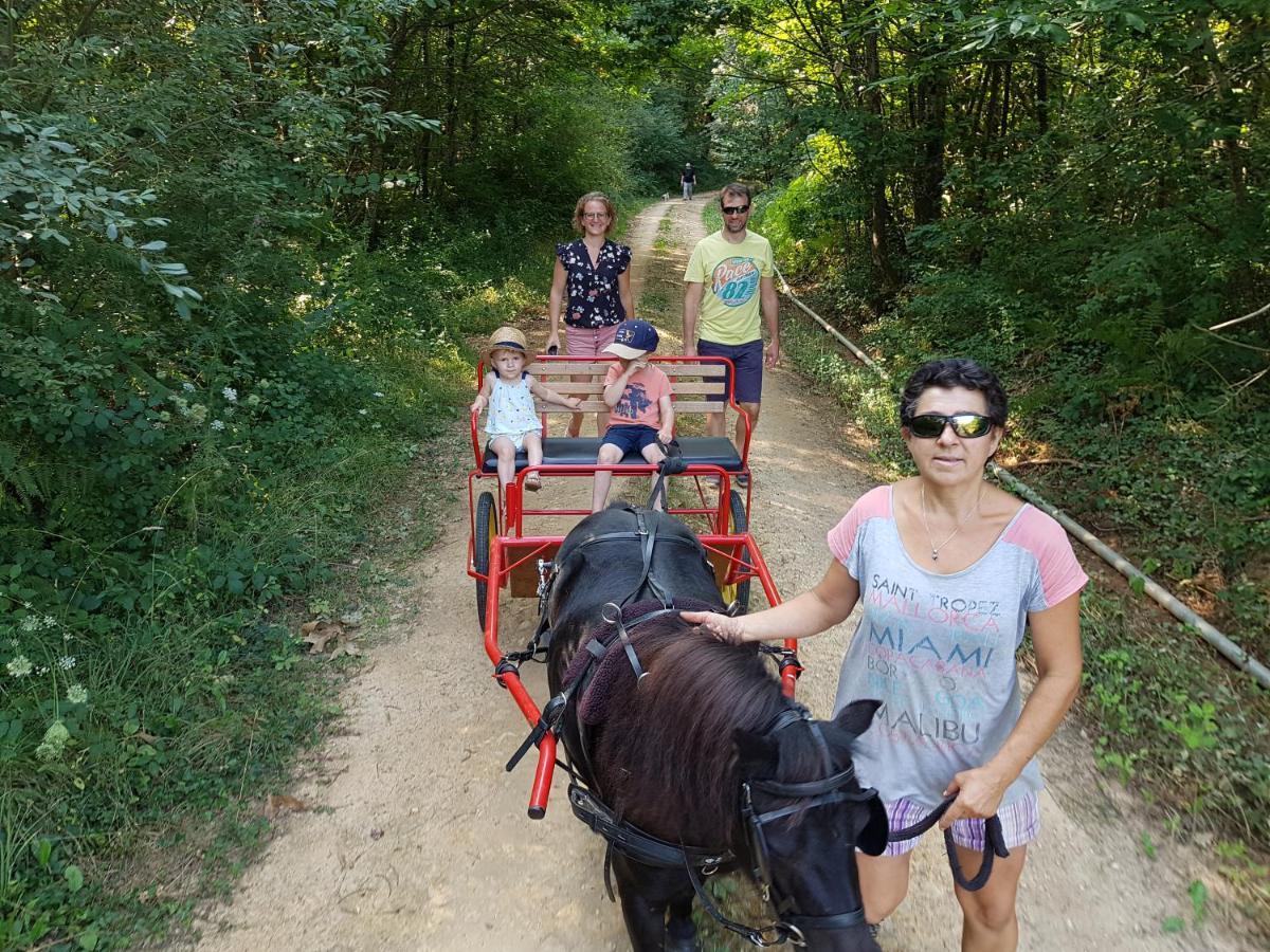 Gite Equestre Domaine Des Crins - Biron Capdrot Bagian luar foto