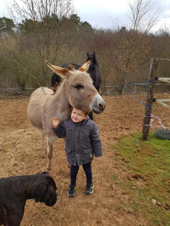 Gite Equestre Domaine Des Crins - Biron Capdrot Bagian luar foto