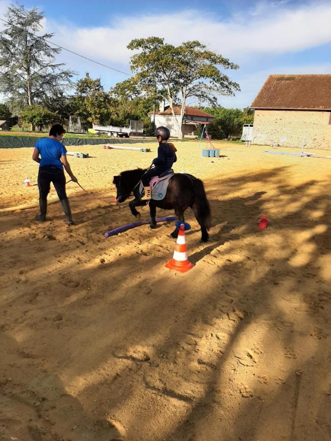 Gite Equestre Domaine Des Crins - Biron Capdrot Bagian luar foto