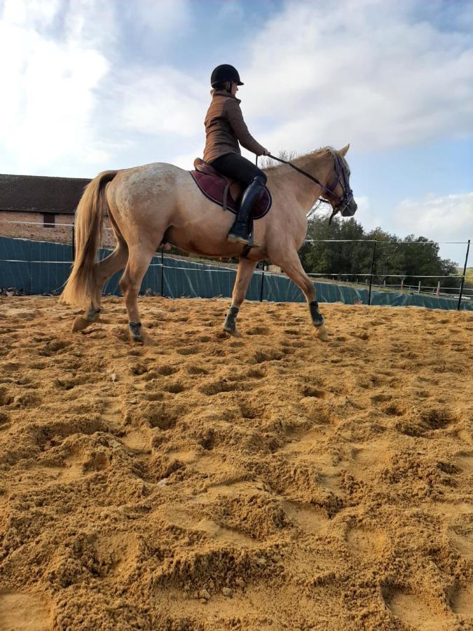 Gite Equestre Domaine Des Crins - Biron Capdrot Bagian luar foto