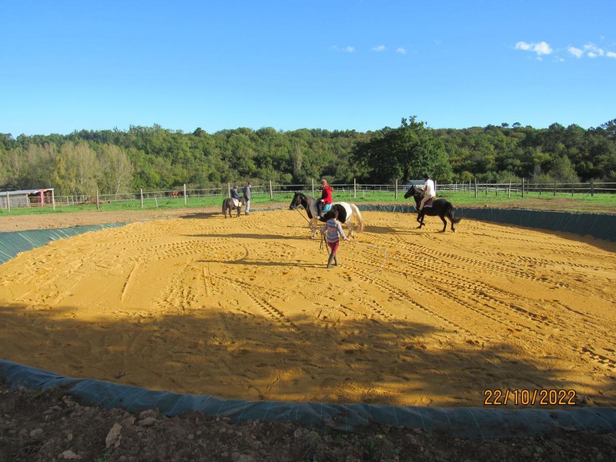 Gite Equestre Domaine Des Crins - Biron Capdrot Bagian luar foto